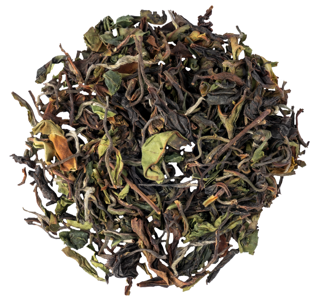 Darjeeling Rohini "Moonlight" - erste Ernte 2024 - 50g
